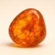 The Allure of Amber: A Gemstone's Journey - Jewellery Zawaraat The Allure of Amber: A Gemstone's Journey - Jewellery Zawaraat