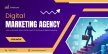 digital marketing agency in delhi ncr/ seo expert digital marketing agency in delhi ncr/ seo expert