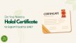 Halal Certificate for Food Export from India to UAE