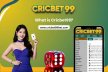 Step Into the Big Leagues with Cricbet99 | Cricbet99 ID & Cricbet99 Club Guide